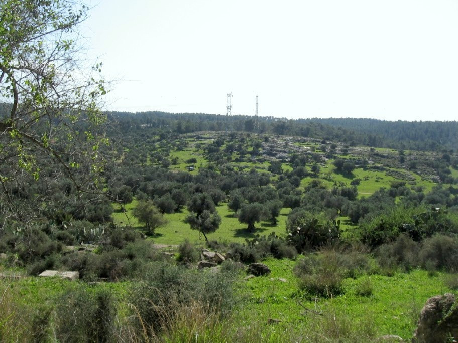 יער בן שמן אטרקציות | צילום: onzd
