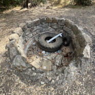 חולדה