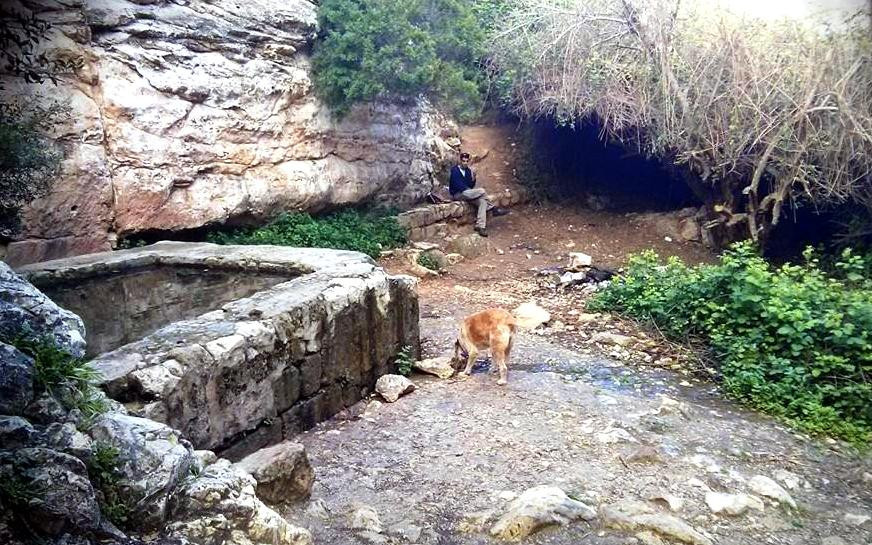 תמונה מתוך תוכן באתר למטייל בישראל (טיולי)
