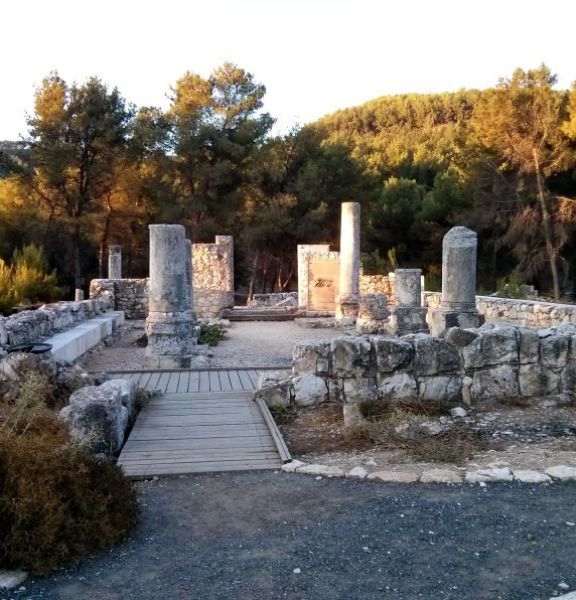 תמונה של יער ביריה ובית הכנסת נבוריה - למטייל בישראל (טיולי)
