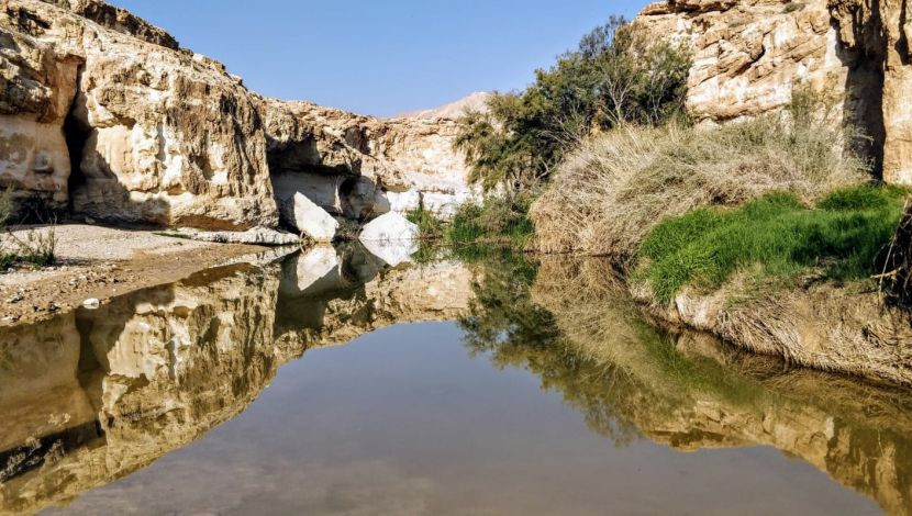 עין ירקעם (1)