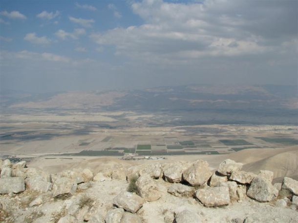 הסרטבה | צילום: יוחאי כורם