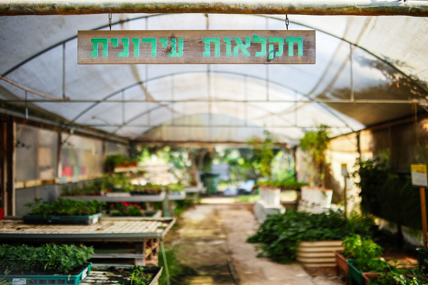 בואו להיות חקלאים ליום אחד. צילום: באדיבות משק הלברכט