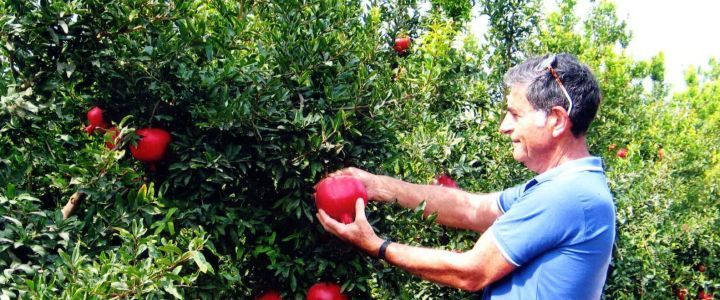 יקב גונן - יקב גונן - סיור לקבוצות וטעימות בגדרה (1)