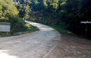 הירידה בשביל האדום לנחל יגור - דרך נוף כרמל (2)