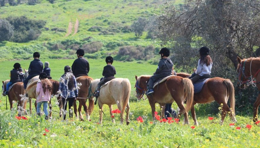 תמונה מתוך אתר טיולי