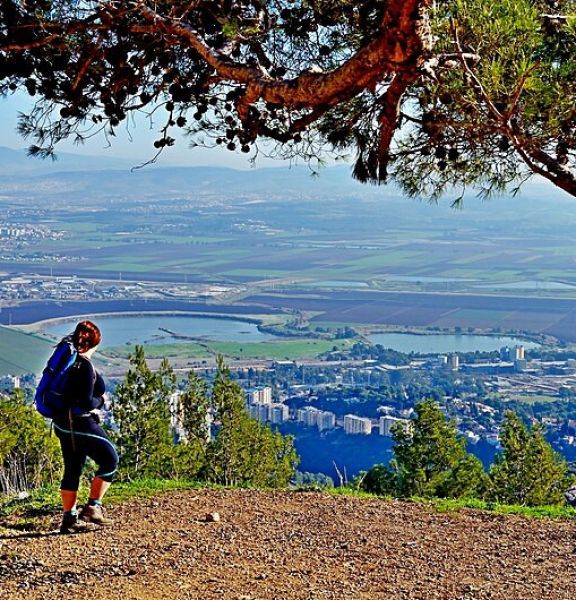תמונה של חורשת הארבעים ומצוק הארבעים בכרמל - למטייל בישראל (טיולי)