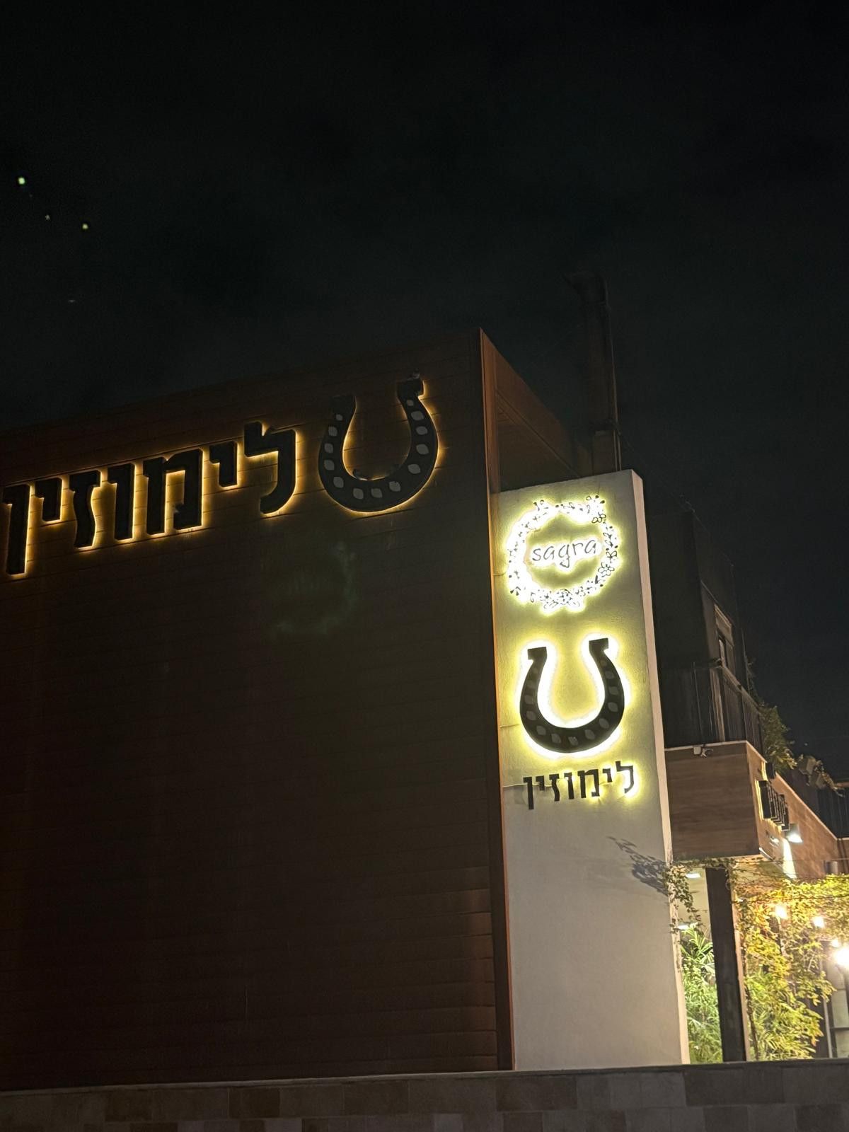 צילום מערכת