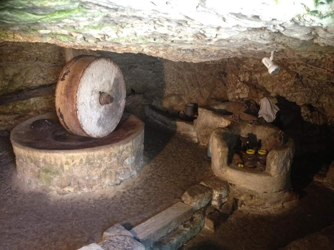 מייצרים שמן בדרך ייחודית | צילום: מרכז כרמל למורשת הדרוזית