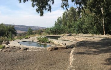 עין כנף - מעיינות בצפון: 10 המלצות מרעננות שכדאי להכיר (3)