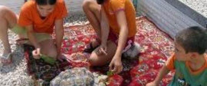 עולם הזוחלים של גולן (1)