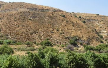 רמות מנשה והסביבה (3)