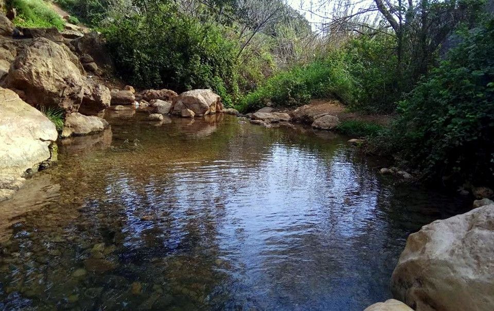 תמונה מתוך תוכן באתר למטייל בישראל (טיולי)