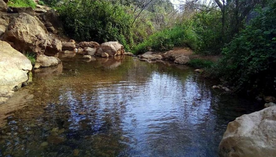 תמונה מתוך תוכן באתר למטייל בישראל (טיולי)