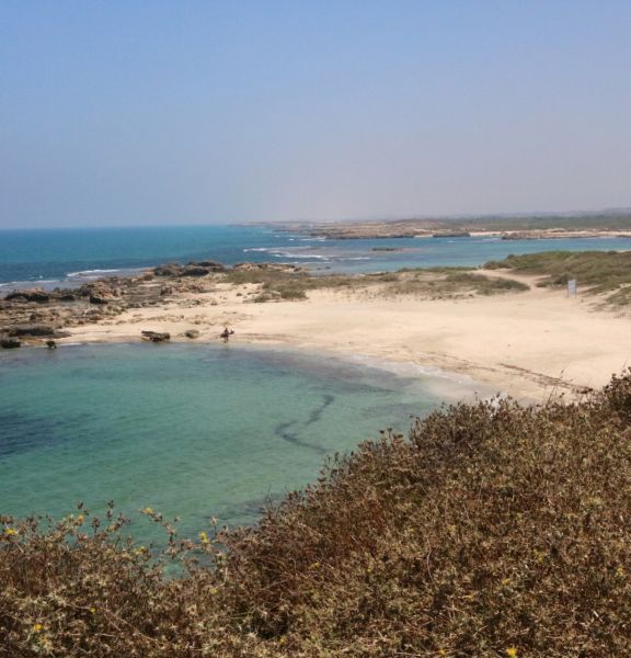 תמונה של יום כיף באזור זכרון יעקב: גנים מפוארים והחופים הכי יפים - למטייל בישראל (טיולי)