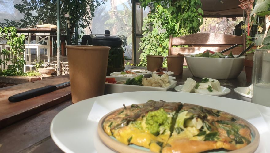 מהגן לצלחת. צילום: גילי מצא