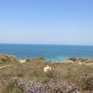 תמונה מתוך למטייל בישראל (טיולי)