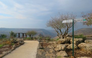 שמורת טבע גמלא - כולם יכולים: 10 מסלולים כיפיים למטיילים עם מוגבלויות (2)