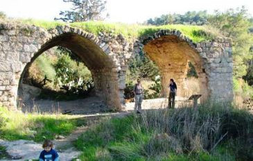 חרבת שמרי - מעיין, חורבה ונוף: השביל הפחות מוכר בכרמל | המלצה לסופ