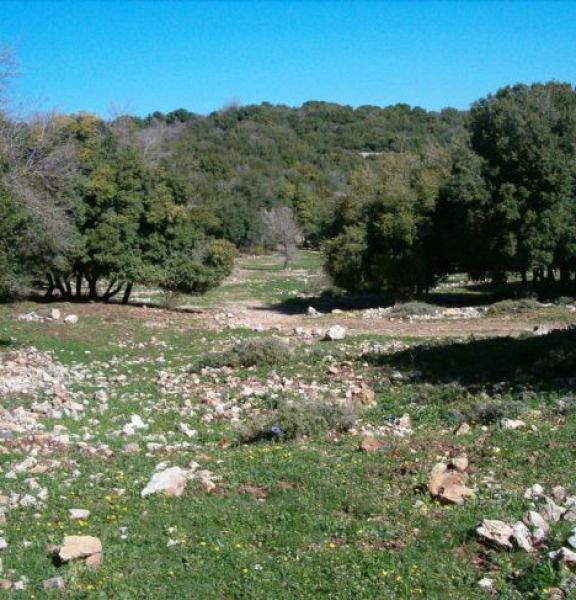 תמונה של חרבת חממה - למטייל בישראל (טיולי)