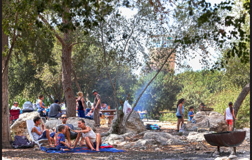פיקניק ביער בן שמן - יער בן שמן - מסלולים, אטרקציות לכל המשפחה וארכיאולוגיה (3)