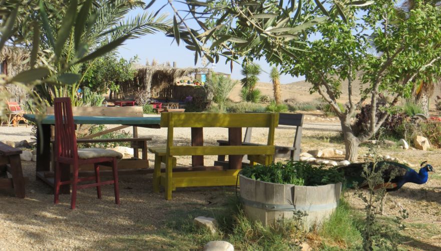תמונה מתוך תוכן באתר למטייל בישראל (טיולי)