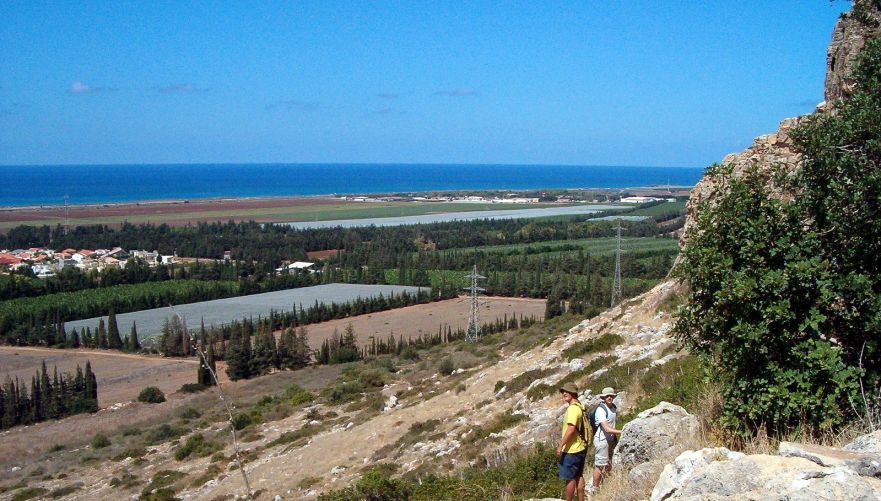 צילום: יוחאי כורם