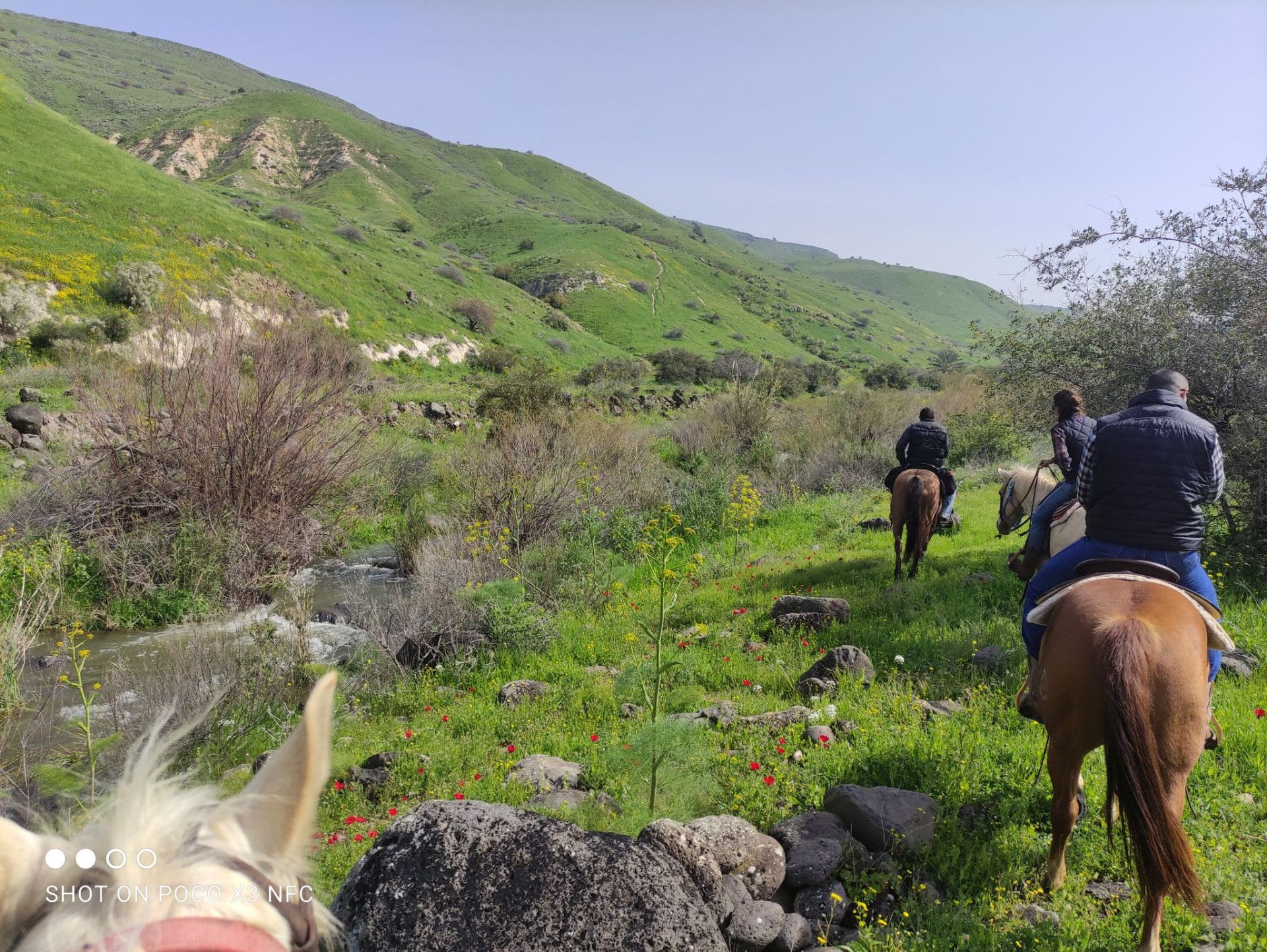 חוות שביט
