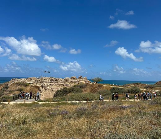 תמונה של הישראלים חזרו בסוכות אל הטבע: עלייה במספר המבקרים בשמורות והגנים הלאומיים - למטייל בישראל (טיולי)
