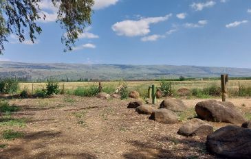 מקטע מספר 2: משמורת הטבע נחל חרמון – הבניאס ועד לפסל האריה השואג בתל חי  (2)