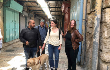 חוגגים פסח בירושלים העתיקה: מגוון פעילויות וסיורים בבירה (3)
