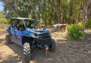 ארי אקסטרים: טיולי טרקטורונים ורייזרים