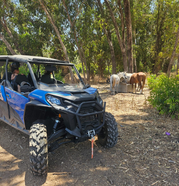תמונה של ארי אקסטרים: טיולי טרקטורונים ורייזרים - למטייל בישראל (טיולי)