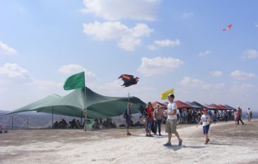 מקבלים את השנה החדשה עם עפיפונים בבית גוברין (3)