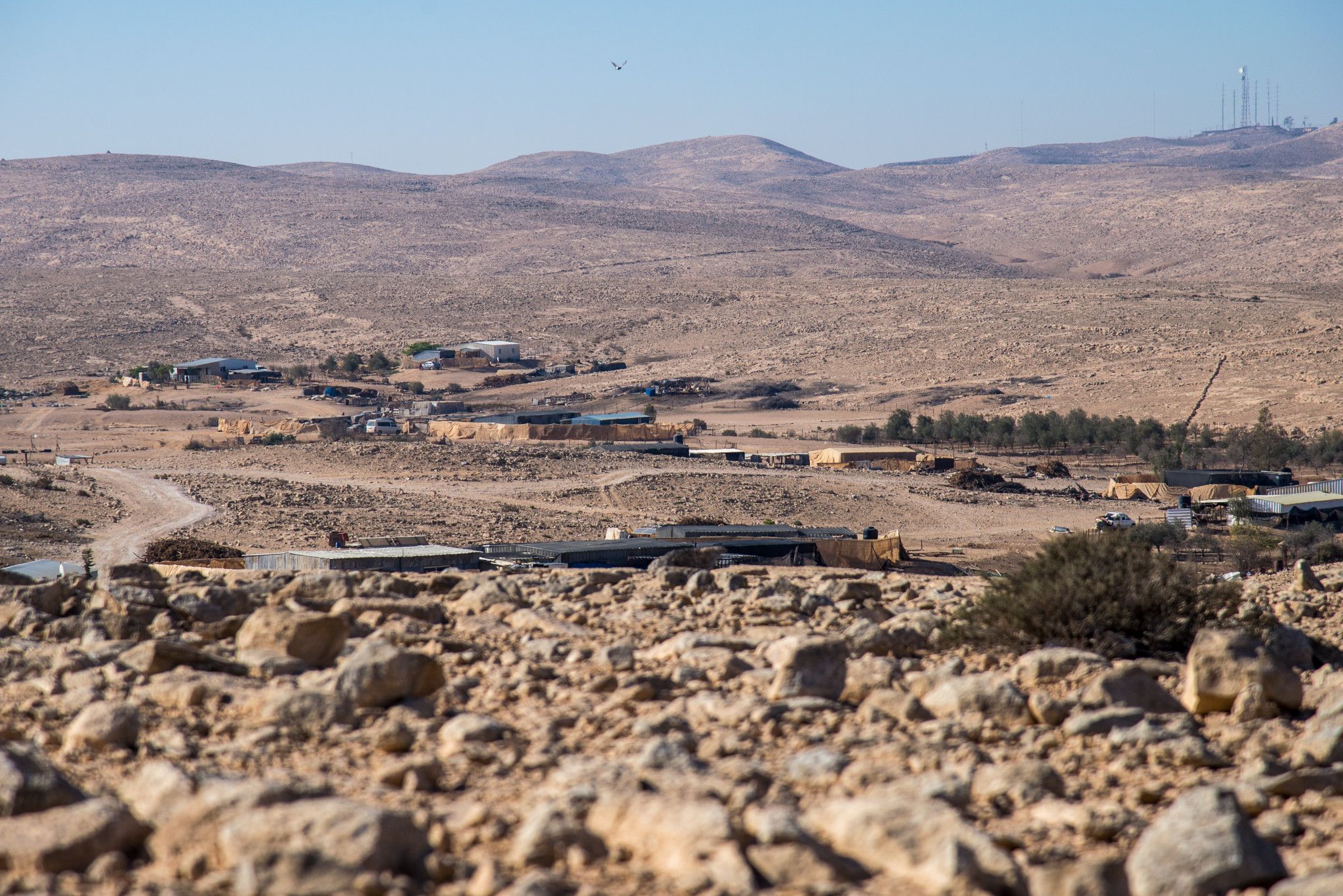 צילום: דניאל בר