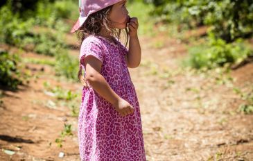 קטיף דובדבנים: 5 מקומות מדהימים ליהנות מהפרי המתוק (3)