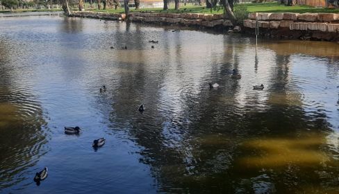תמונה של הפארק הלאומי רמת גן - למטייל בישראל (טיולי)