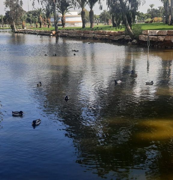 תמונה של הפארק הלאומי רמת גן - למטייל בישראל (טיולי)