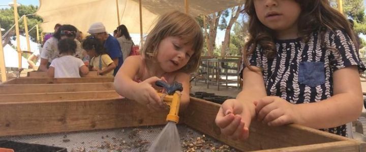 לגלות אוצרות: הרפתקת סינון עתיקות בירושלים (1)