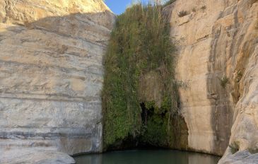 עין עקב (2)