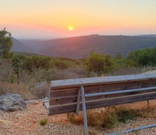 תמונה של אהבה גלילית: המלצות של מקומיים ללוקיישנים שווים לחגוג בשניים - למטייל בישראל (טיולי)