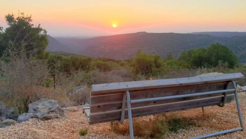מצפור גיא - אהבה גלילית: המלצות של מקומיים ללוקיישנים שווים לחגוג בשניים (1)