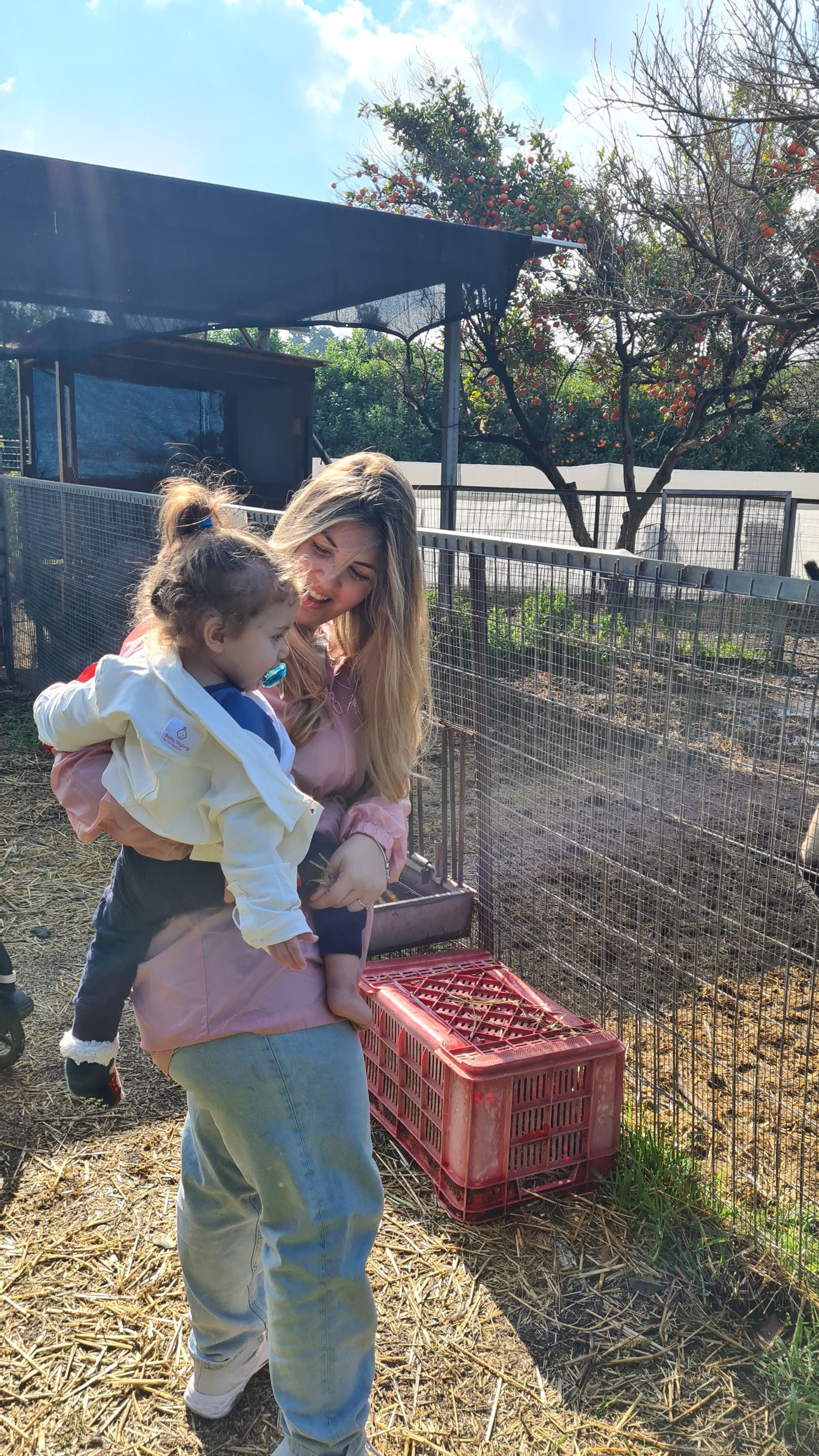 משק הלברכט | צילום: ירדן כחול