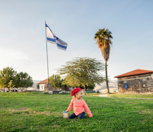 תמונה של מה עושים ביום העצמאות? קבלו 5 פעילויות שמתאימות לכל המשפחה - למטייל בישראל (טיולי)