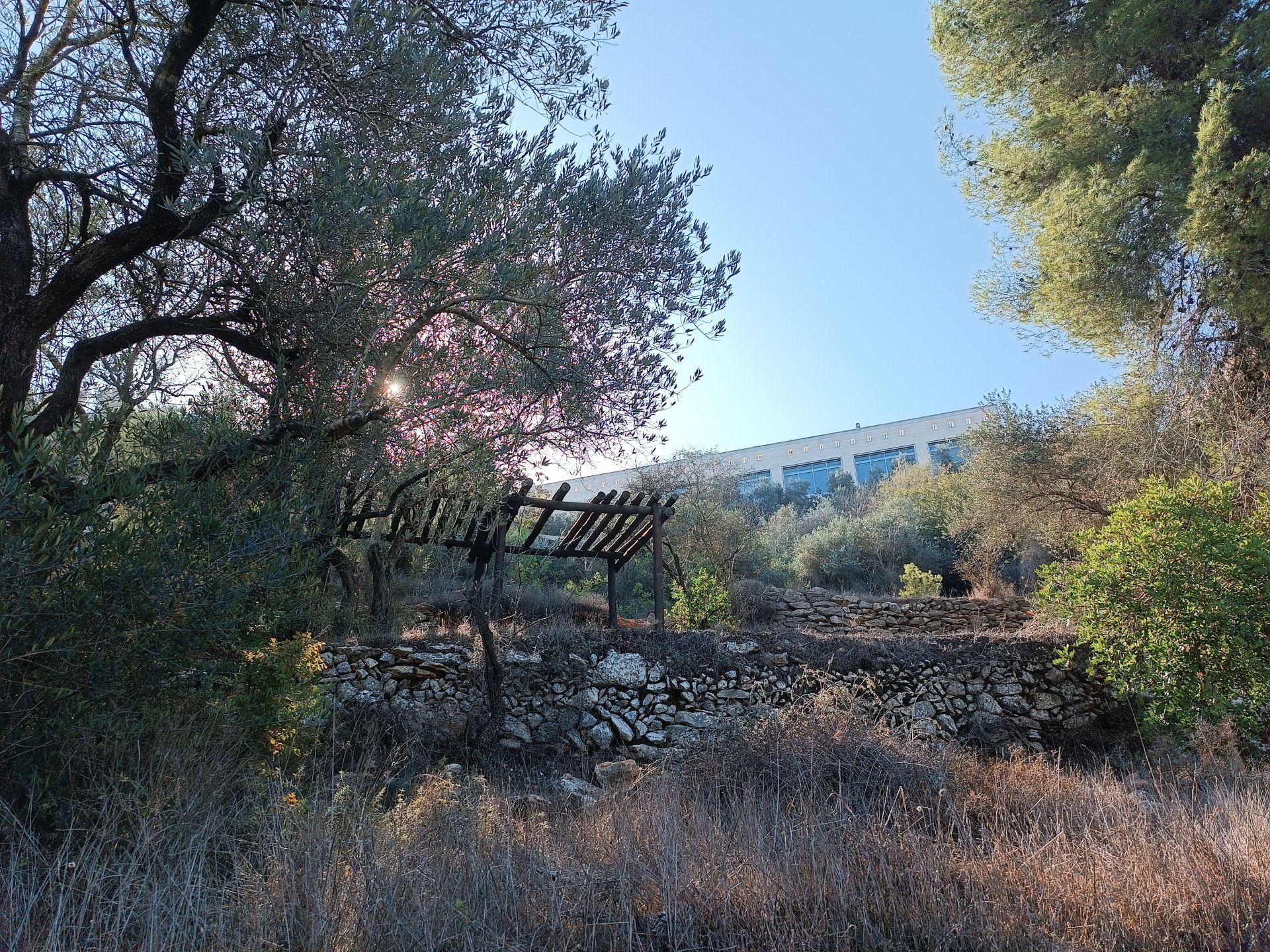 הזולה ומעליה יד ושם | צילום: שי קדם