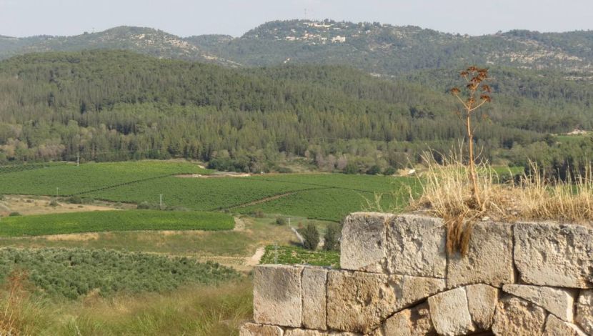 מתגבשים ומעלים אדרנלין: 7 רעיונות ליום של כיף קבוצתי באזור לטרון (1)