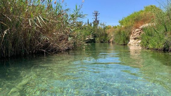 תמונה של בלי פקקים וחנייה: ברכבת אל המסלולים והאתרים הפופולאריים - טיולי