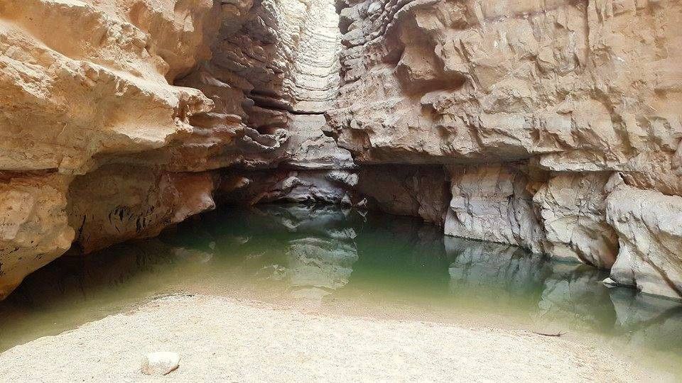 גב חווה | צילום: יניר יגל