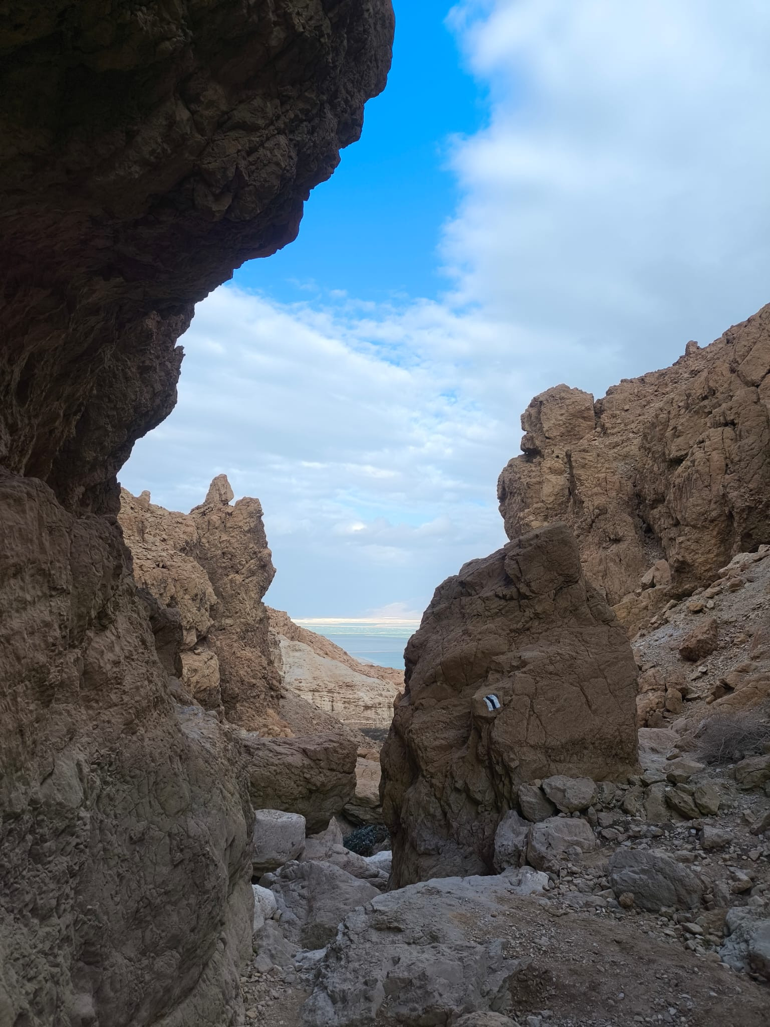 נחל רום | צילום: שי יודקובסקי