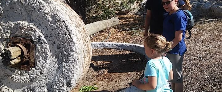 אטרקציות חבל מודיעין (1)